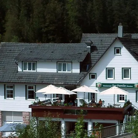 Zur Forelle Hundsbach